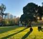 The Best Suburbs for Young Professionals in Melbourne